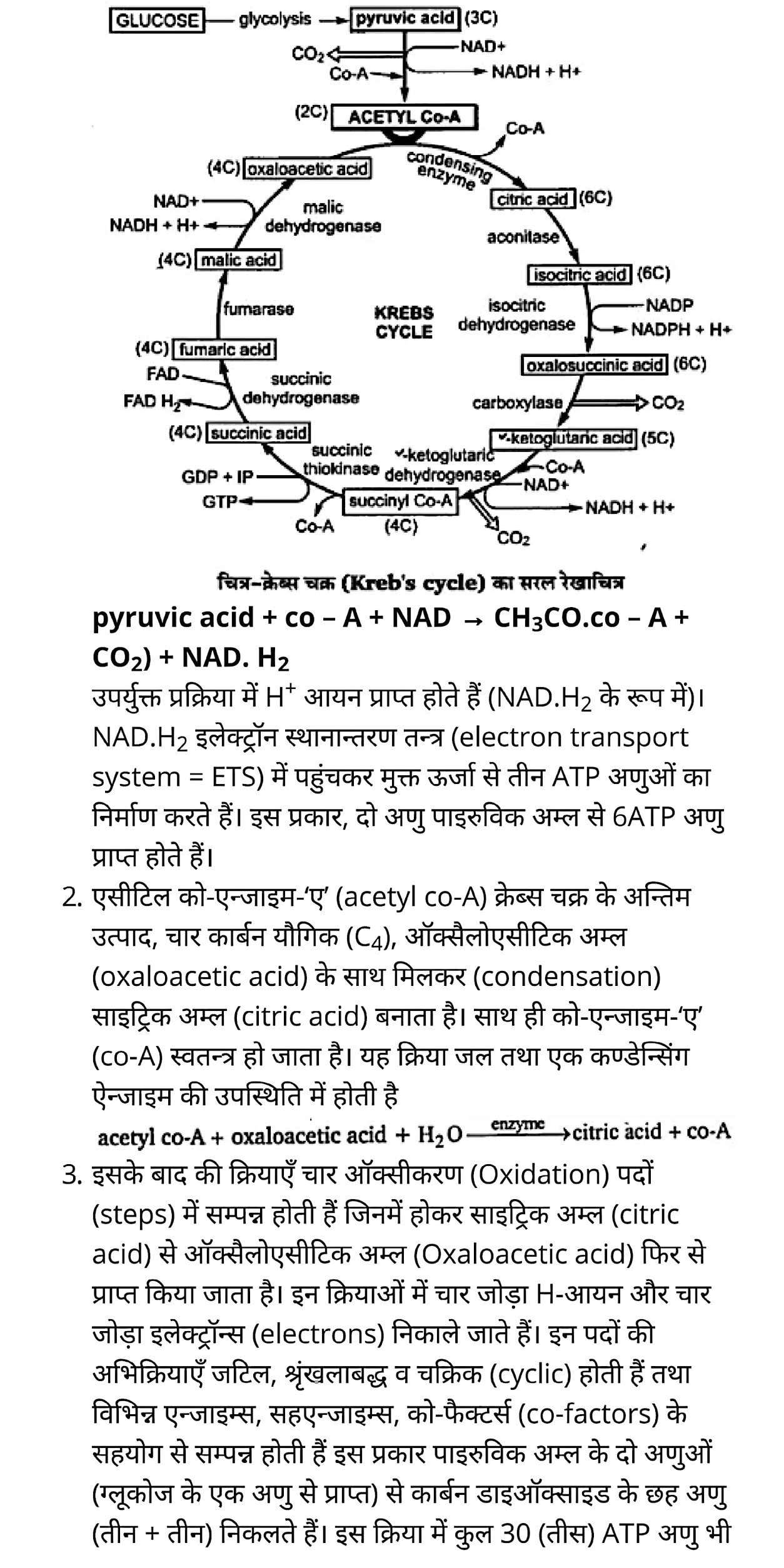 कक्षा 11 जीव विज्ञान अध्याय 17 के नोट्स हिंदी में एनसीईआरटी समाधान,   class 11 Biology Chapter 17,  class 11 Biology Chapter 17 ncert solutions in hindi,  class 11 Biology Chapter 17 notes in hindi,  class 11 Biology Chapter 17 question answer,  class 11 Biology Chapter 17 notes,  11   class Biology Chapter 17 in hindi,  class 11 Biology Chapter 17 in hindi,  class 11 Biology Chapter 17 important questions in hindi,  class 11 Biology notes in hindi,  class 11 Biology Chapter 17 test,  class 11 BiologyChapter 17 pdf,  class 11 Biology Chapter 17 notes pdf,  class 11 Biology Chapter 17 exercise solutions,  class 11 Biology Chapter 17, class 11 Biology Chapter 17 notes study rankers,  class 11 Biology Chapter 17 notes,  class 11 Biology notes,   Biology  class 11  notes pdf,  Biology class 11  notes 2021 ncert,  Biology class 11 pdf,  Biology  book,  Biology quiz class 11  ,   11  th Biology    book up board,  up board 11  th Biology notes,  कक्षा 11 जीव विज्ञान अध्याय 17, कक्षा 11 जीव विज्ञान का अध्याय 17 ncert solution in hindi, कक्षा 11 जीव विज्ञान  के अध्याय 17 के नोट्स हिंदी में, कक्षा 11 का जीव विज्ञान अध्याय 17 का प्रश्न उत्तर, कक्षा 11 जीव विज्ञान अध्याय 17 के नोट्स, 11 कक्षा जीव विज्ञान अध्याय 17 हिंदी में,कक्षा 11 जीव विज्ञान  अध्याय 17 हिंदी में, कक्षा 11 जीव विज्ञान  अध्याय 17 महत्वपूर्ण प्रश्न हिंदी में,कक्षा 11 के जीव विज्ञानके नोट्स हिंदी में,जीव विज्ञान  कक्षा 11 नोट्स pdf,