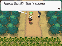 Pokemon Volt White Screenshot 02