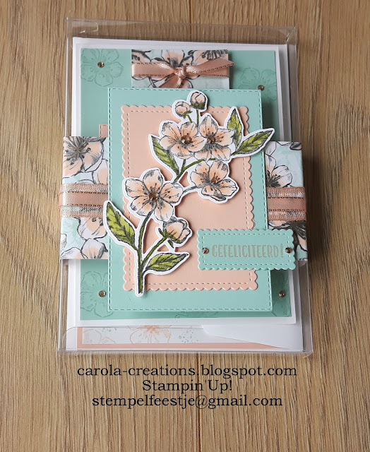 Stampin'Up! Nieuwe bloesems