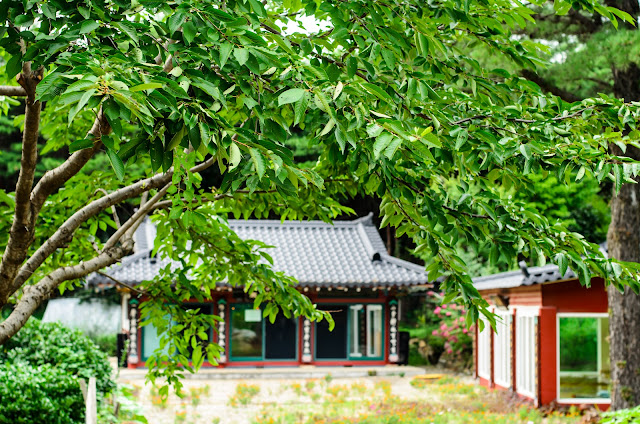 Temple Korea Pohang