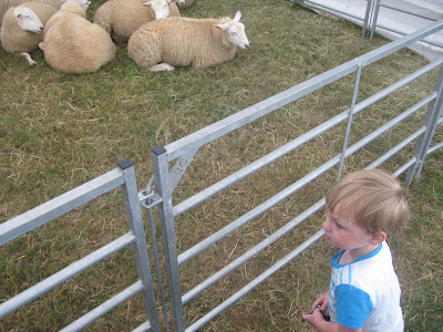 Toddler at farm