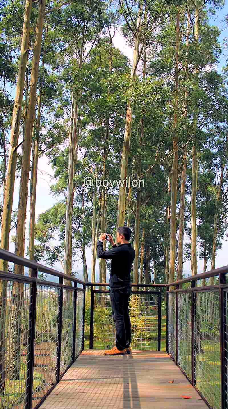 My Life Is My Message: Sepenggal Kisah Dari Dusun Bambu