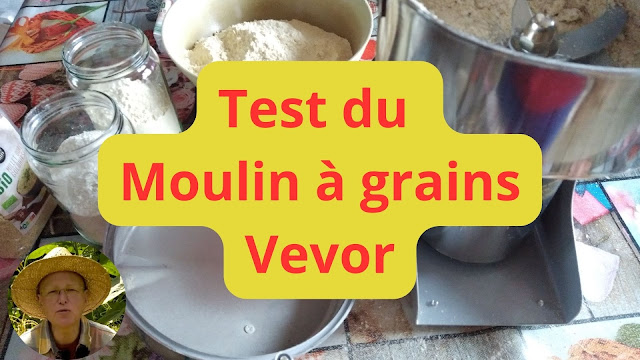 Test du moulin à grains Vevor 1kg 2000w (vidéo)