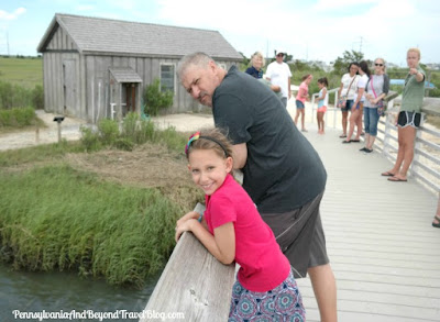 Wetlands Institute Stone Harbor in New Jersey