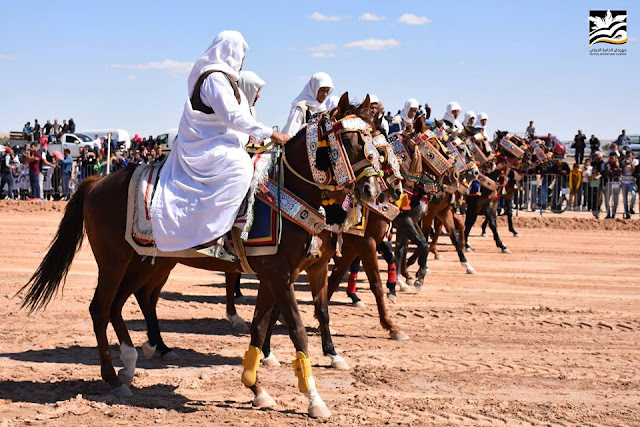 فورسية و سباقات الخيول