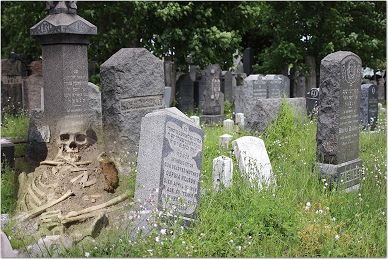 Ladrones saquean lápida en cementerio de Queens destrozando esqueletos de pareja que murió en 1928