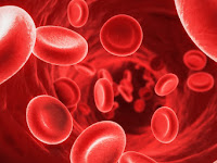 All About Anemia Disease and How to Treat it