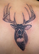 Deer Tattoos (drewm )