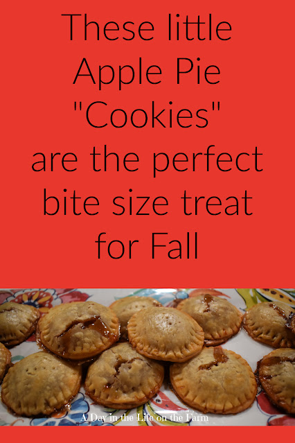 Apple Pie Cookies pin