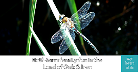 Half-term family fun in the Land of Oak & Iron (AD)