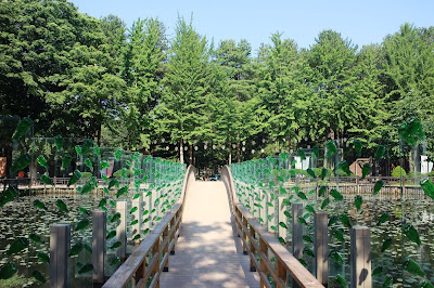 First Kiss Glass Sequoia Bridge, Nami Island