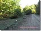 SAM_0482