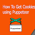 Get Cookies dengan Puppeteer