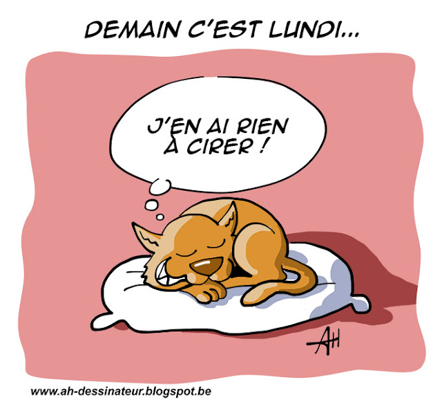 Dessin, chat