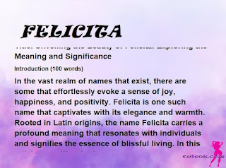 meaning of the name "FELICITA"