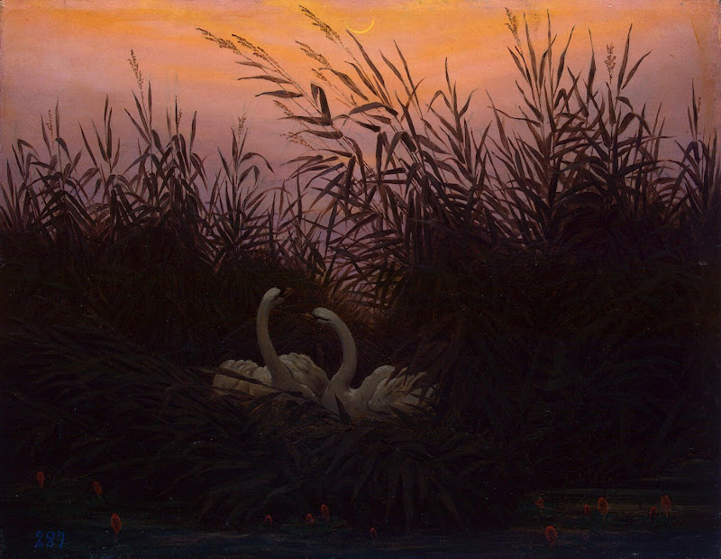 Swans in the Reeds by Caspar David Friedrich - Animal Paintings from Hermitage Museum