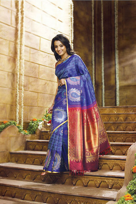 trisha in saree unseen pics