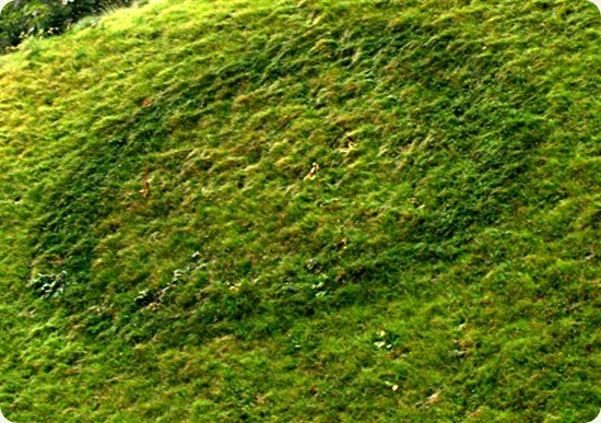triora Cerchio_delle_streghe