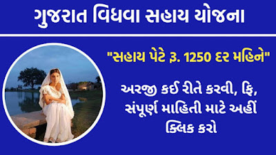 Vidhva Sahay Yojana in Gujarat 2024