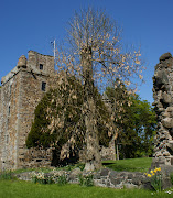 Tour Scotland photograph shot today of Elcho Castle, South of Perth, . (tour scotland photograph elcho castle th april )