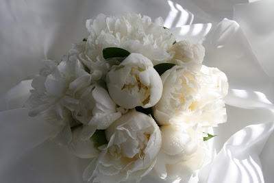 Peony Wedding Flowers on The Flower Magician  Pure   Simple White Peony Wedding Bouquet