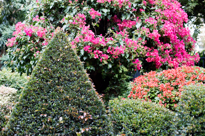 roma street parklands