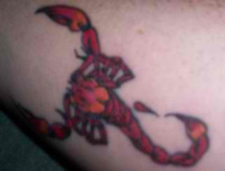 Scorpion Sting Tattoo Design