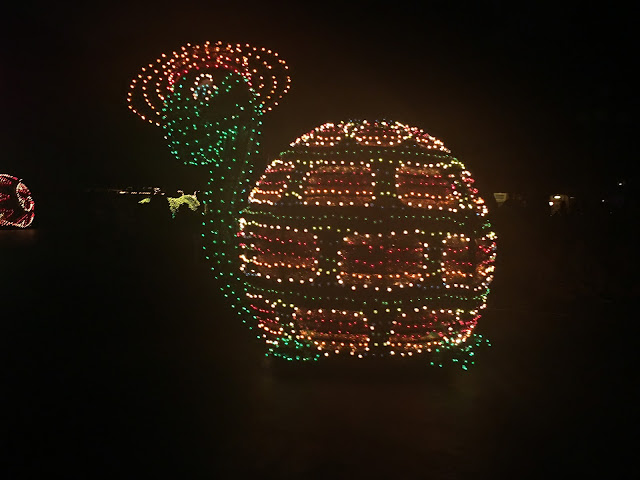 Main Street Electrical Parade Turtle Disneyland