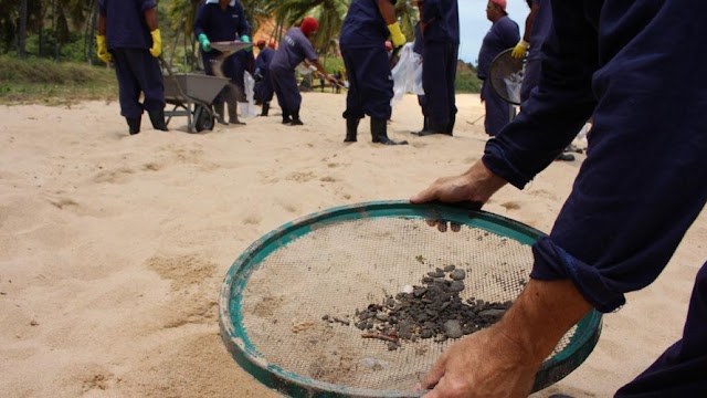 Após óleo, casas pé na areia perdem aluguel