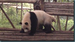 scratch that itch