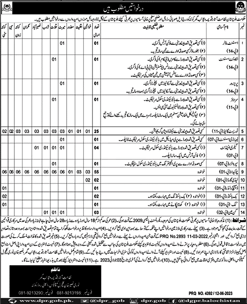 Directorate of Archaeology and Museums Balochistan Jobs 2023