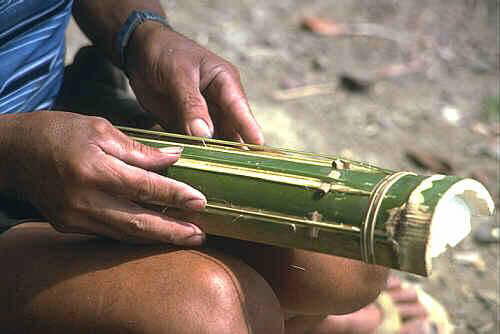 Bamboo Zither6