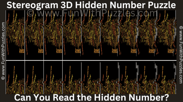 2. Stereogram Puzzle: Can You Read the Hidden Number?