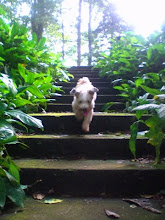 My photo