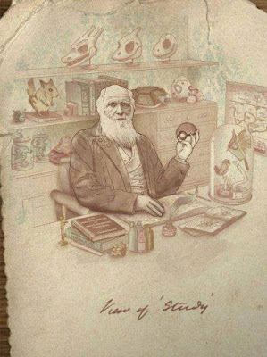 el profesor pokemon darwin