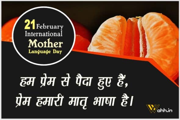 International Mother Language Day Status In Hindi