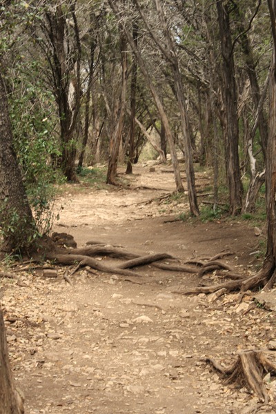 Hiking with Kelly 033