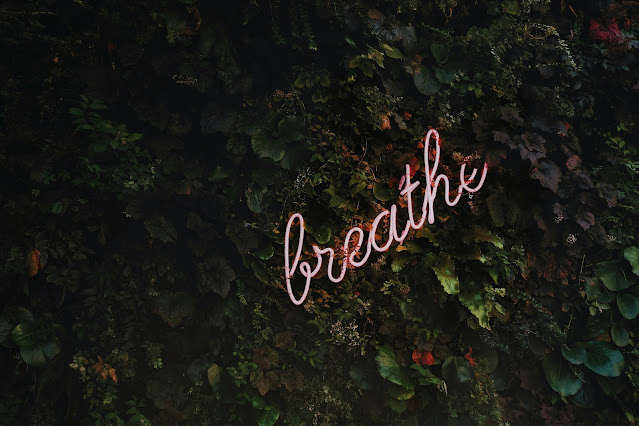 lights spelling "breathe" on leafy background:Photo by Tim Goedhart on Unsplash