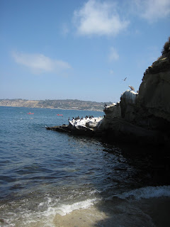 A view out from La Jolla Cove on Labor Day.