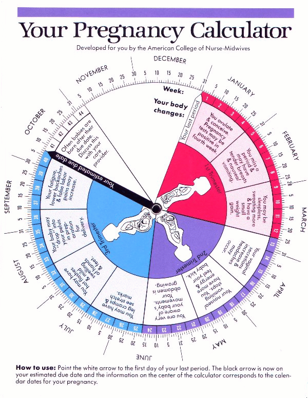 Pregnancy Calculator Know Your Due Date Calculator