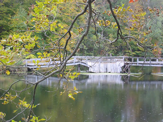 canal at Waterloo