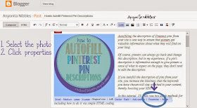 Steps 1 & 2 in autofilling Pinterest pin descriptions | Anyonita Nibbles