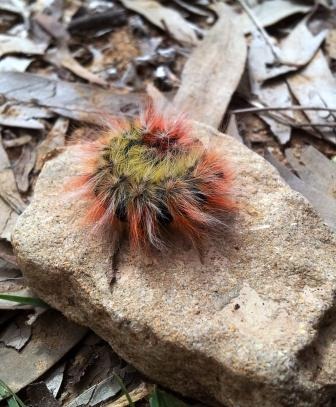 20120301_130712small