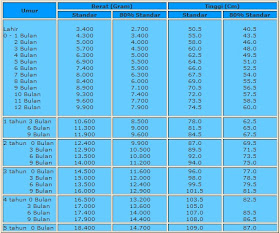 Seputar Dunia Anak Berat Badan dan Tinggi Ideal untuk 