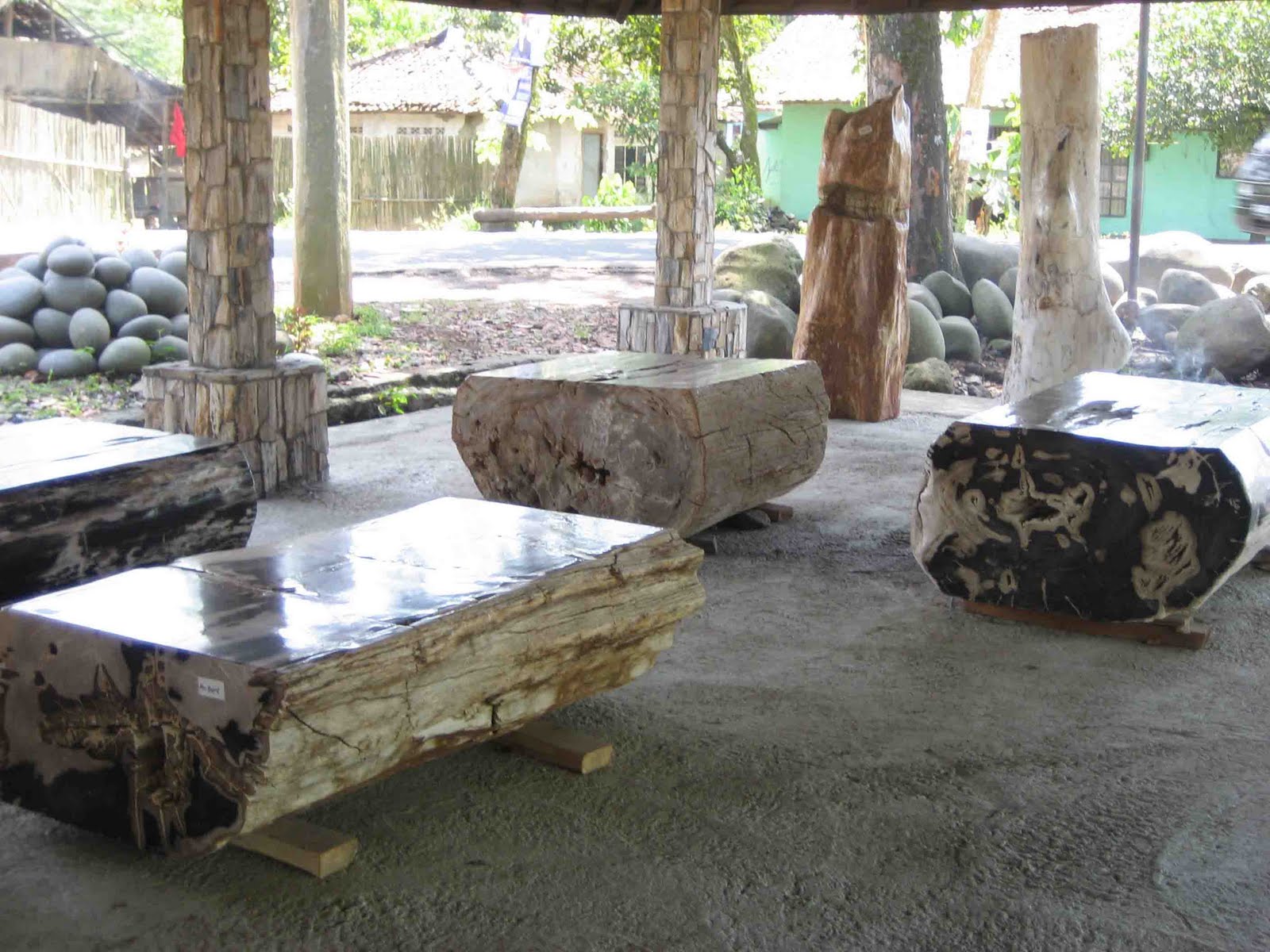 PETRIFIED WOOD TABLE TOP