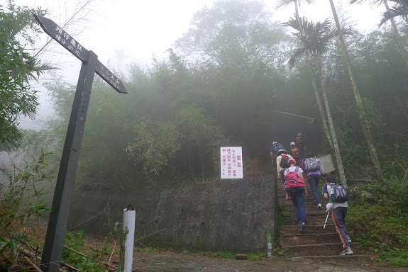 相片