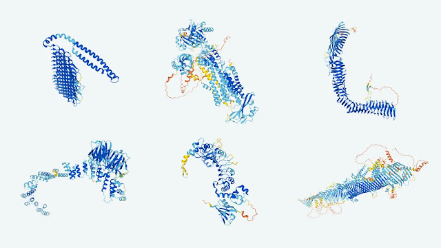 The structure of six proteins: L-R top: P9WIF5 M. tuberculosis, A0A143ZZK9 Malaria parasite, P39180 E. coli; L-R bottom: Q11182 Nematode worm, Q10303 Fission Yeast, Q9VZS7 Fruit Fly. Image credit: DeepMind/CC BY