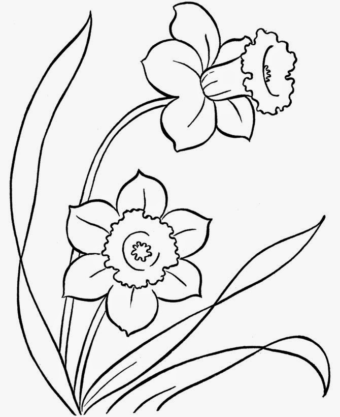 Flower Coloring Pages