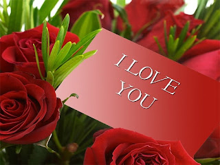 Valentines Day Red Roses Wallpapers