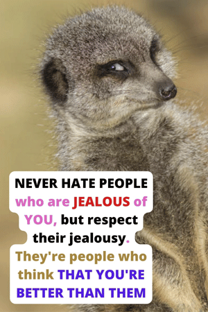 picture jealousy in toxic friendship